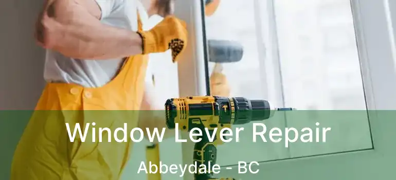  Window Lever Repair Abbeydale - BC