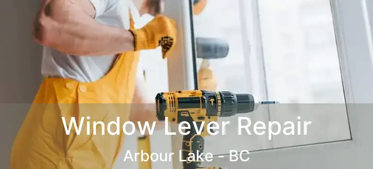  Window Lever Repair Arbour Lake - BC