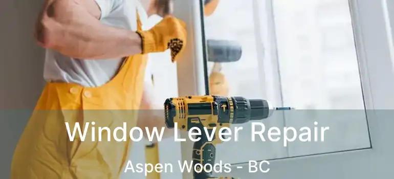  Window Lever Repair Aspen Woods - BC