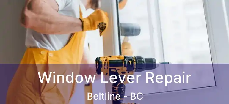 Window Lever Repair Beltline - BC