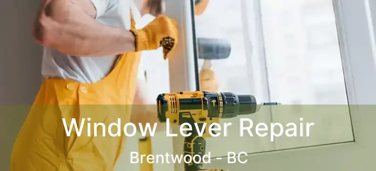  Window Lever Repair Brentwood - BC