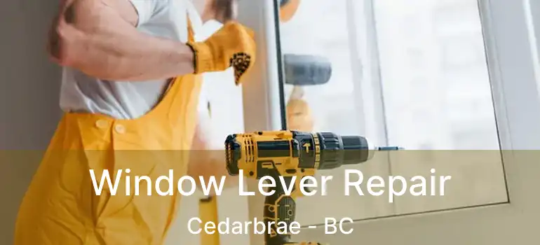  Window Lever Repair Cedarbrae - BC