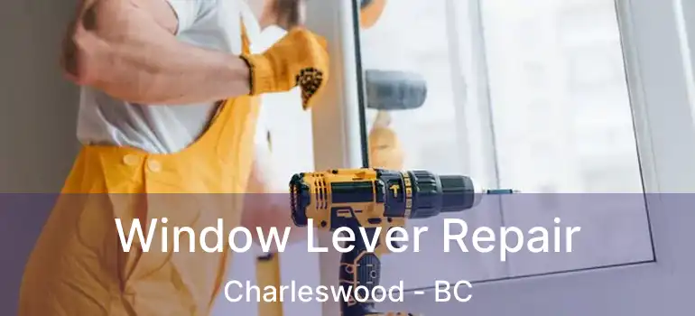  Window Lever Repair Charleswood - BC