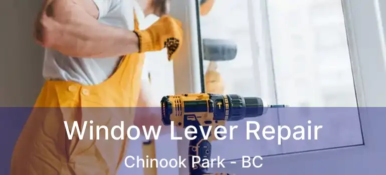  Window Lever Repair Chinook Park - BC