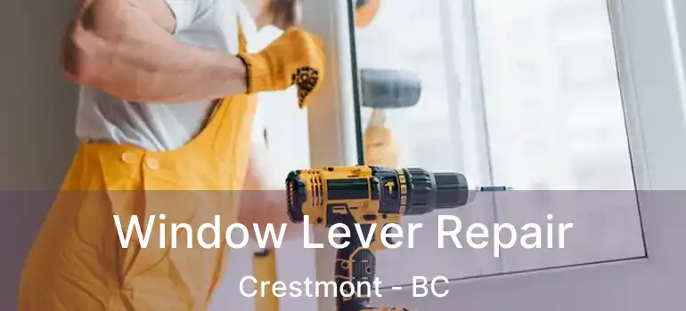  Window Lever Repair Crestmont - BC