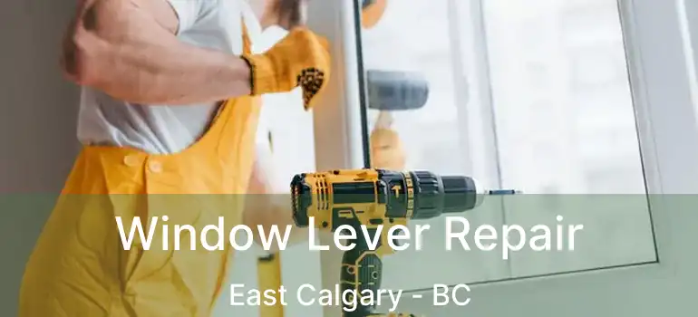  Window Lever Repair East Calgary - BC