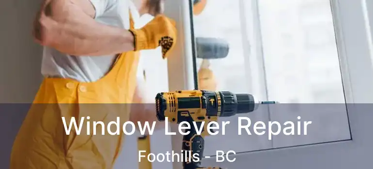  Window Lever Repair Foothills - BC