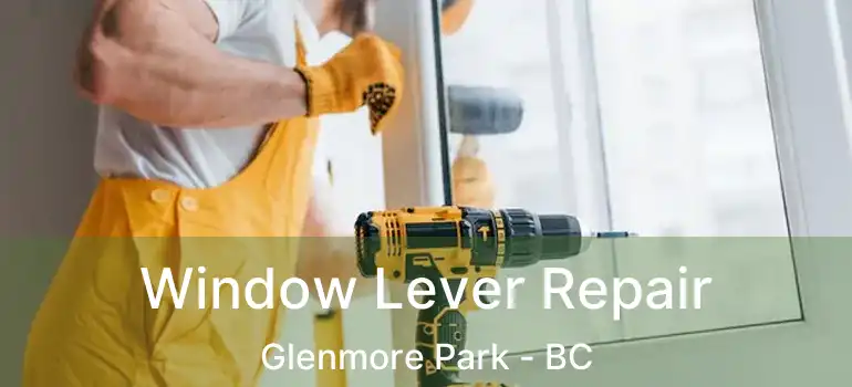  Window Lever Repair Glenmore Park - BC