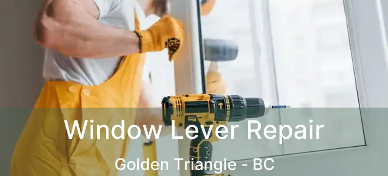  Window Lever Repair Golden Triangle - BC