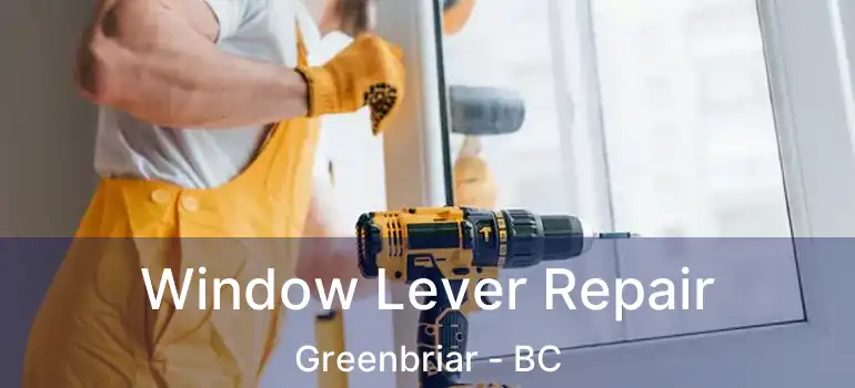  Window Lever Repair Greenbriar - BC