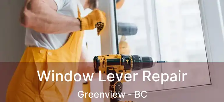 Window Lever Repair Greenview - BC