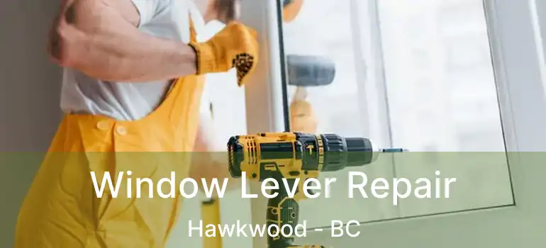  Window Lever Repair Hawkwood - BC