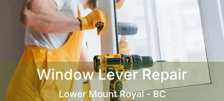  Window Lever Repair Lower Mount Royal - BC