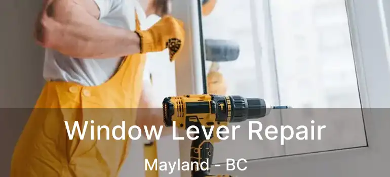  Window Lever Repair Mayland - BC