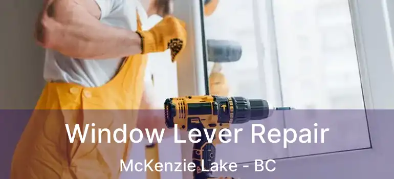  Window Lever Repair McKenzie Lake - BC