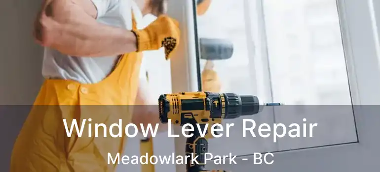  Window Lever Repair Meadowlark Park - BC