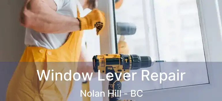  Window Lever Repair Nolan Hill - BC