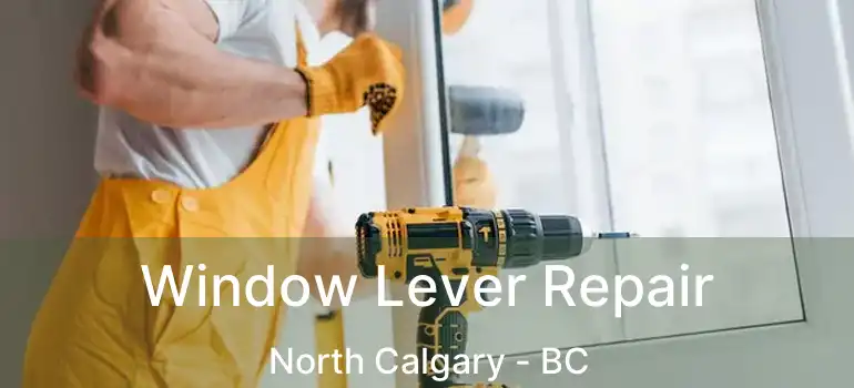  Window Lever Repair North Calgary - BC