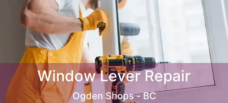  Window Lever Repair Ogden Shops - BC