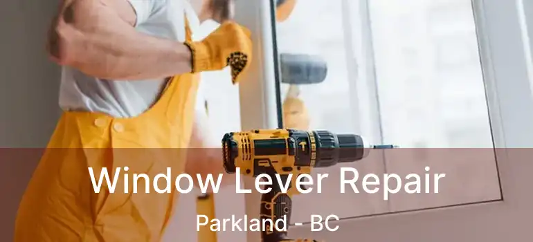  Window Lever Repair Parkland - BC