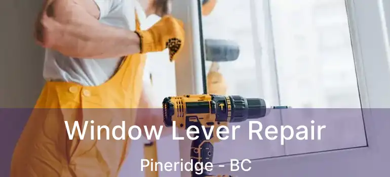  Window Lever Repair Pineridge - BC