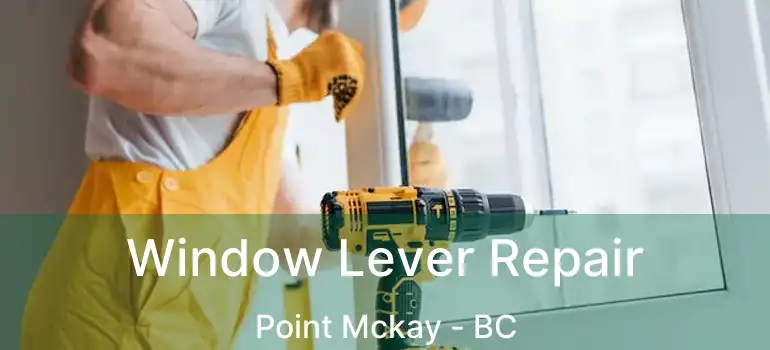  Window Lever Repair Point Mckay - BC