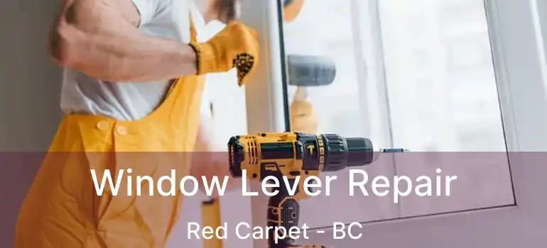  Window Lever Repair Red Carpet - BC