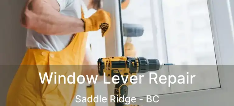  Window Lever Repair Saddle Ridge - BC