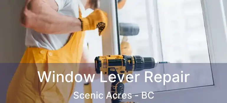  Window Lever Repair Scenic Acres - BC