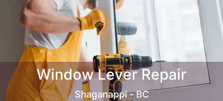  Window Lever Repair Shaganappi - BC