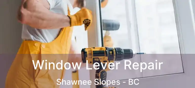  Window Lever Repair Shawnee Slopes - BC