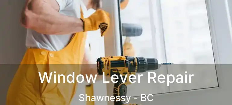  Window Lever Repair Shawnessy - BC