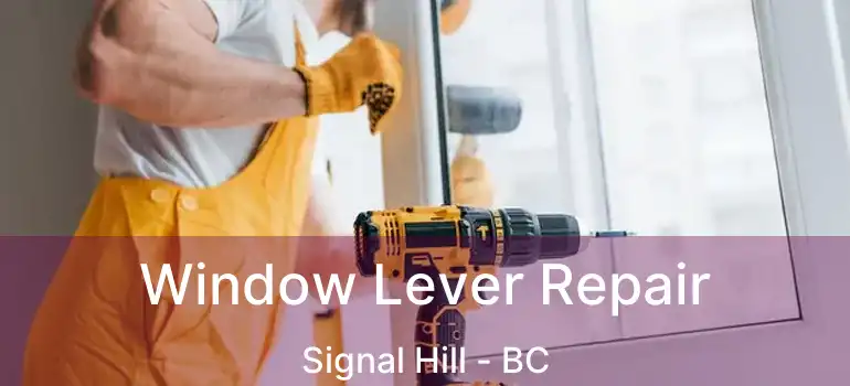 Window Lever Repair Signal Hill - BC