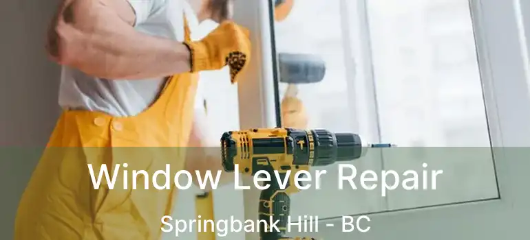 Window Lever Repair Springbank Hill - BC