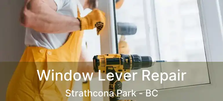  Window Lever Repair Strathcona Park - BC