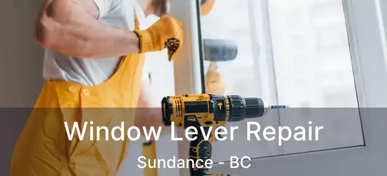  Window Lever Repair Sundance - BC