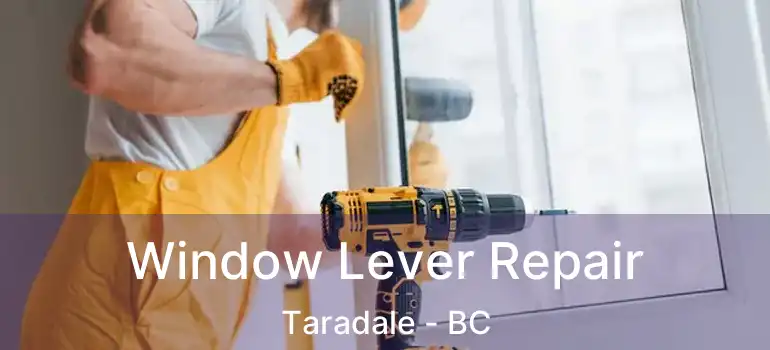  Window Lever Repair Taradale - BC