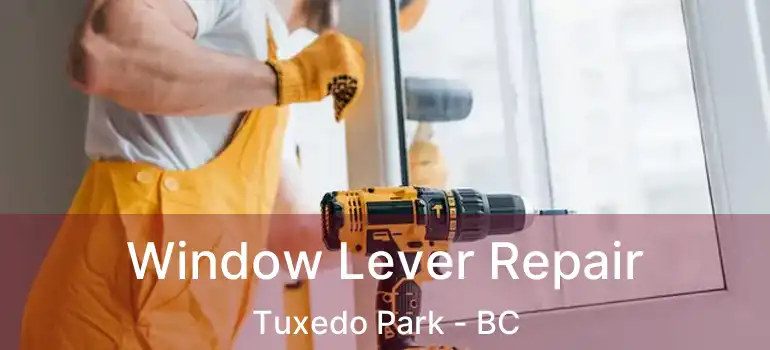  Window Lever Repair Tuxedo Park - BC