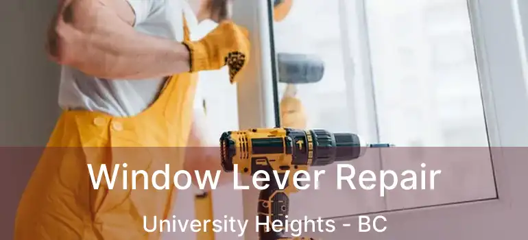  Window Lever Repair University Heights - BC