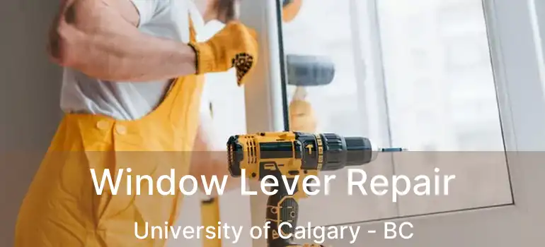  Window Lever Repair University of Calgary - BC