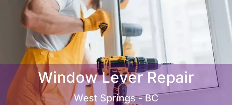  Window Lever Repair West Springs - BC