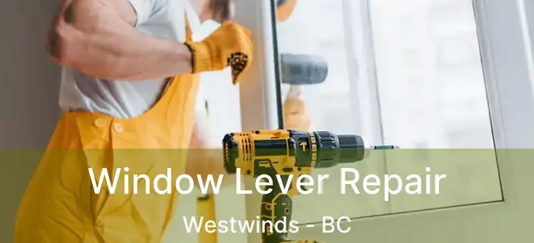  Window Lever Repair Westwinds - BC