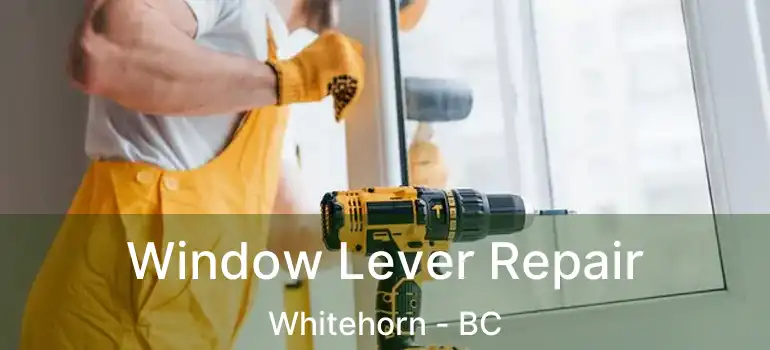  Window Lever Repair Whitehorn - BC