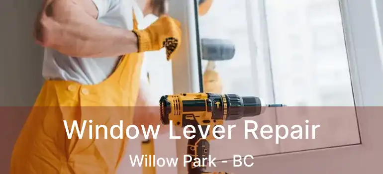  Window Lever Repair Willow Park - BC