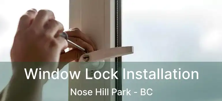  Window Lock Installation Nose Hill Park - BC