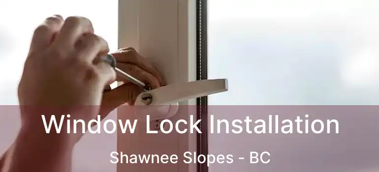  Window Lock Installation Shawnee Slopes - BC