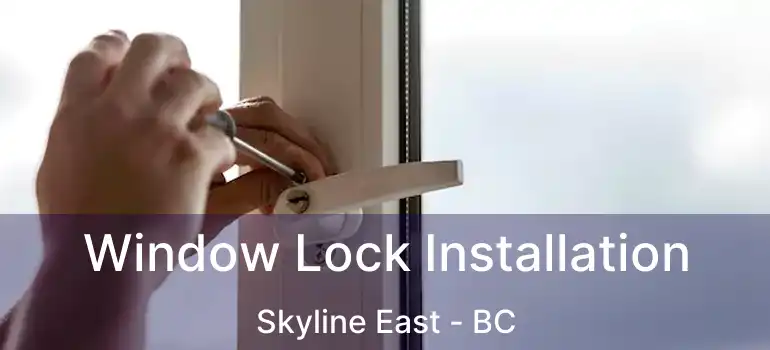  Window Lock Installation Skyline East - BC