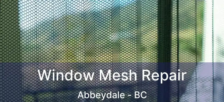  Window Mesh Repair Abbeydale - BC
