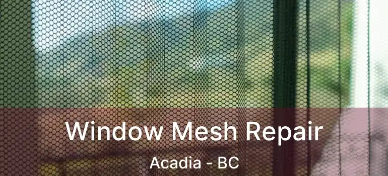  Window Mesh Repair Acadia - BC