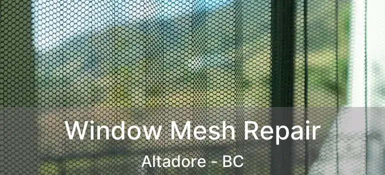  Window Mesh Repair Altadore - BC